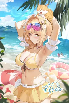 预览