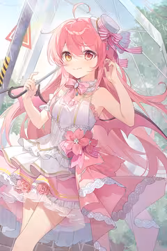 预览
