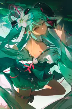 预览