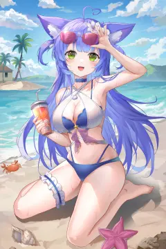 预览