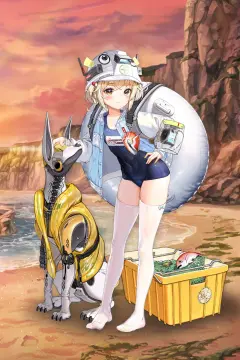 预览