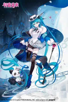 预览