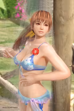 预览
