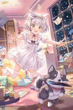 预览
