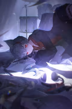 预览