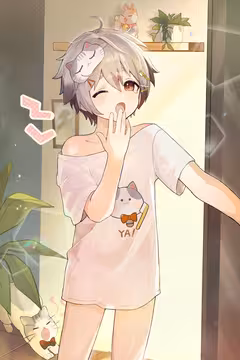 预览