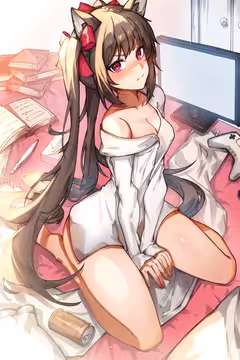 预览