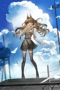 预览