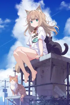 预览