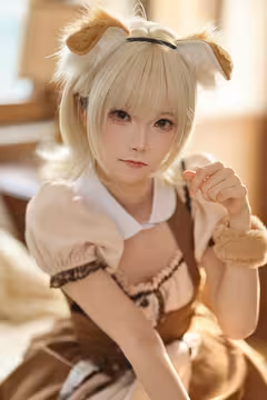 预览