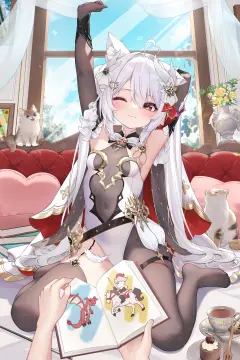 预览