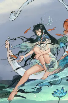 预览