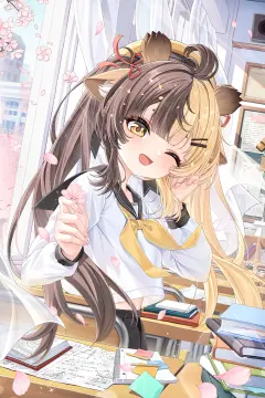 预览