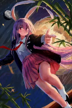 预览