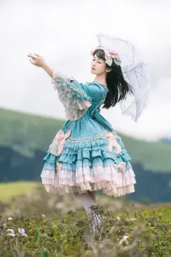 预览