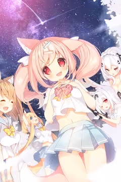 预览