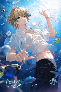 预览