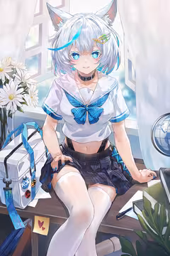 预览