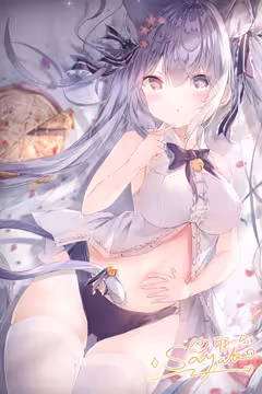 预览