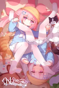 预览
