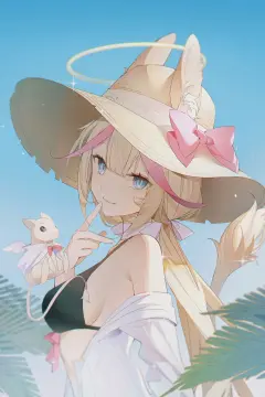 预览
