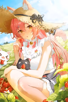 预览
