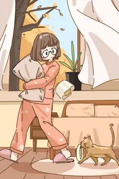 预览