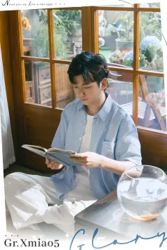 预览
