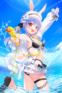 预览