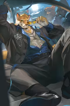 预览
