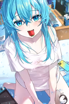 预览