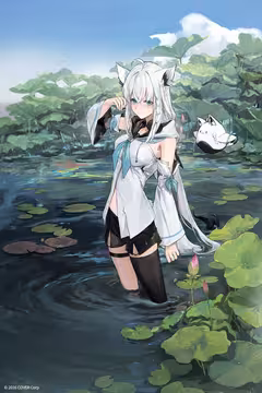 预览