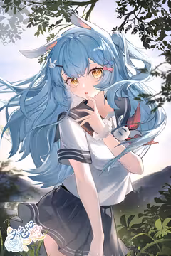 预览