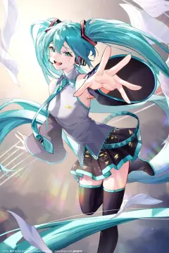 预览