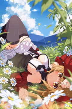 预览
