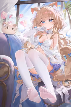 预览