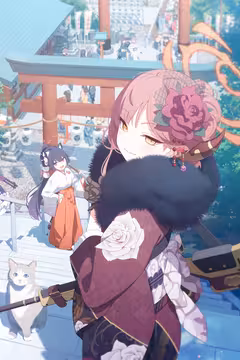 预览