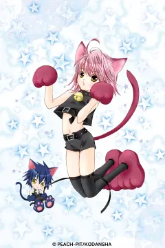 预览