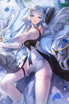 预览