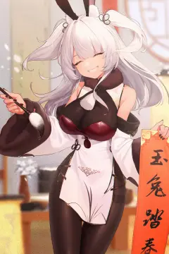 预览