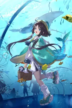 预览