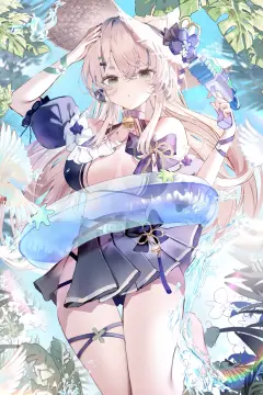 预览