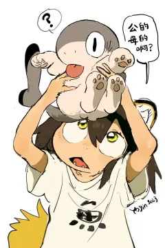 预览
