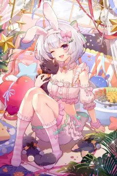 预览