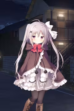 预览