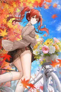 预览