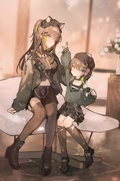 预览