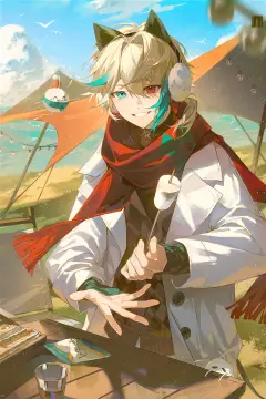 预览