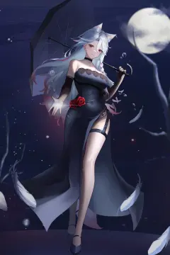 预览