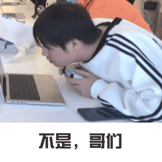 棉花真虾